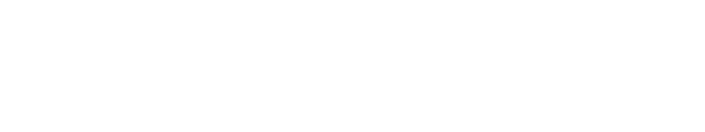 Armor Guys